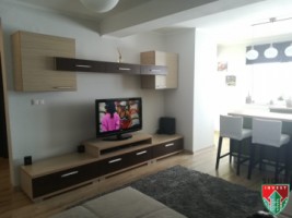 apartament-2-camere-mobilat-zona-selimbar-pictor-brana-2